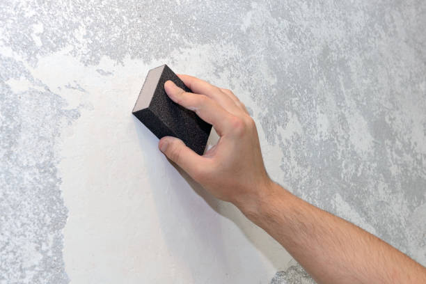Best Mold Damage Restoration  in Lincoln Park, NY