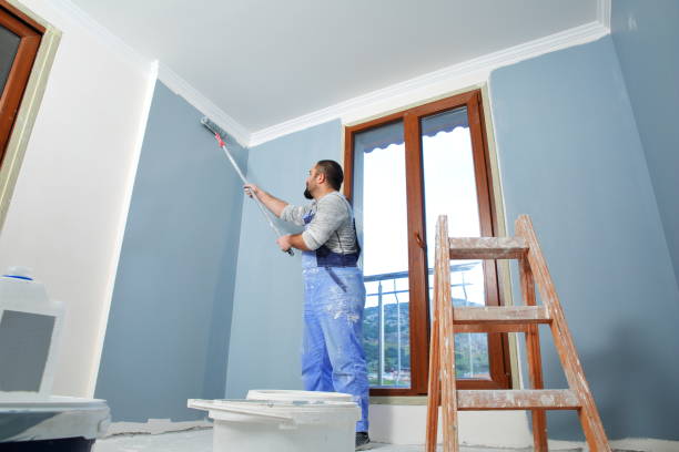 Lincoln Park, NY Mold Removal Company