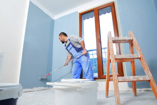 Best Basement Mold Removal  in Lincoln Park, NY