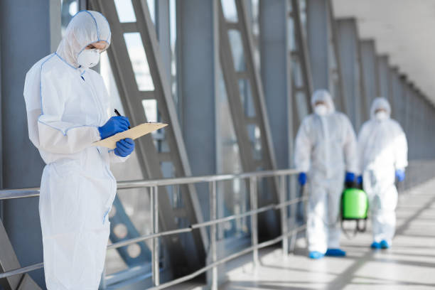 Best Mold Prevention Services  in Lincoln Park, NY