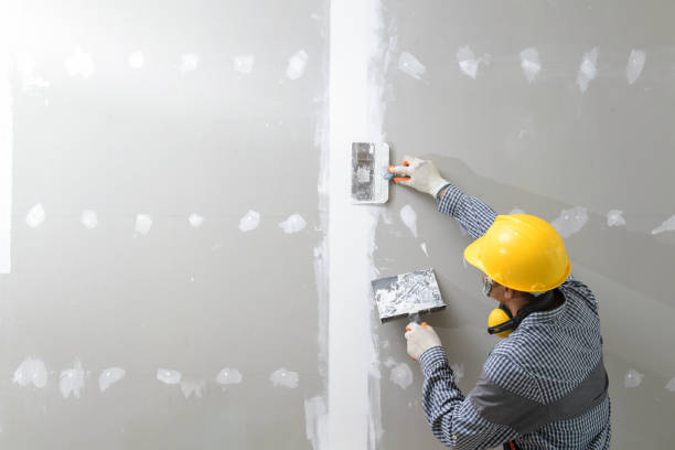 Best Mold Removal for HVAC Installations  in Lincoln Park, NY