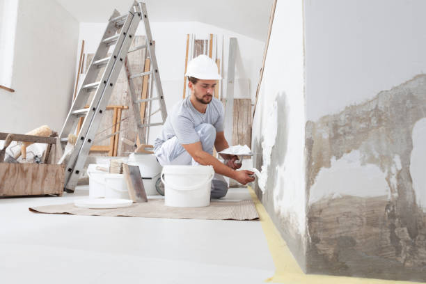Biohazard Mold Removal in Lincoln Park, NY