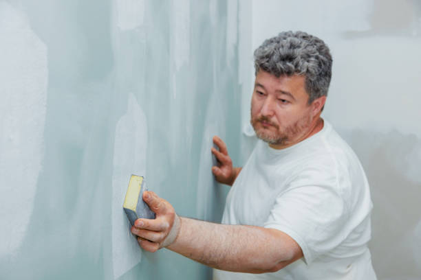 Best Attic Mold Removal  in Lincoln Park, NY