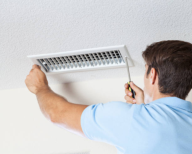 Best Environmental Consulting for Mold Prevention  in Lincoln Park, NY