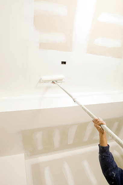 Best Mold Remediation for Healthcare Facilities  in Lincoln Park, NY