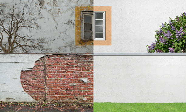 Best Comprehensive Air Testing for Mold Contaminants  in Lincoln Park, NY