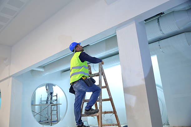  Lincoln Park, NY Mold Removal Pros